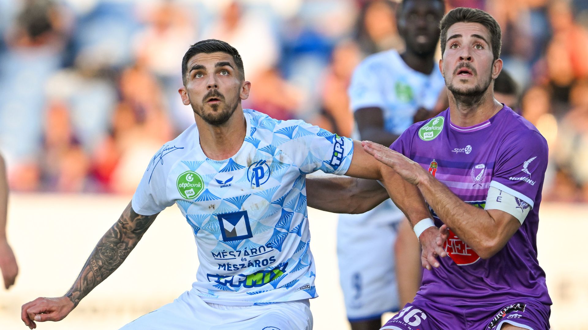 A kecskeméti fordítás története - videó