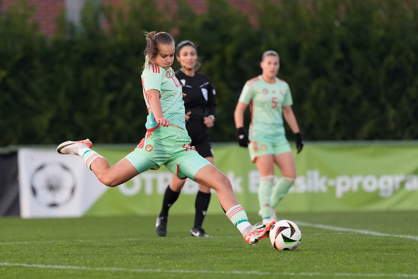 Az írek ellen teszteltek