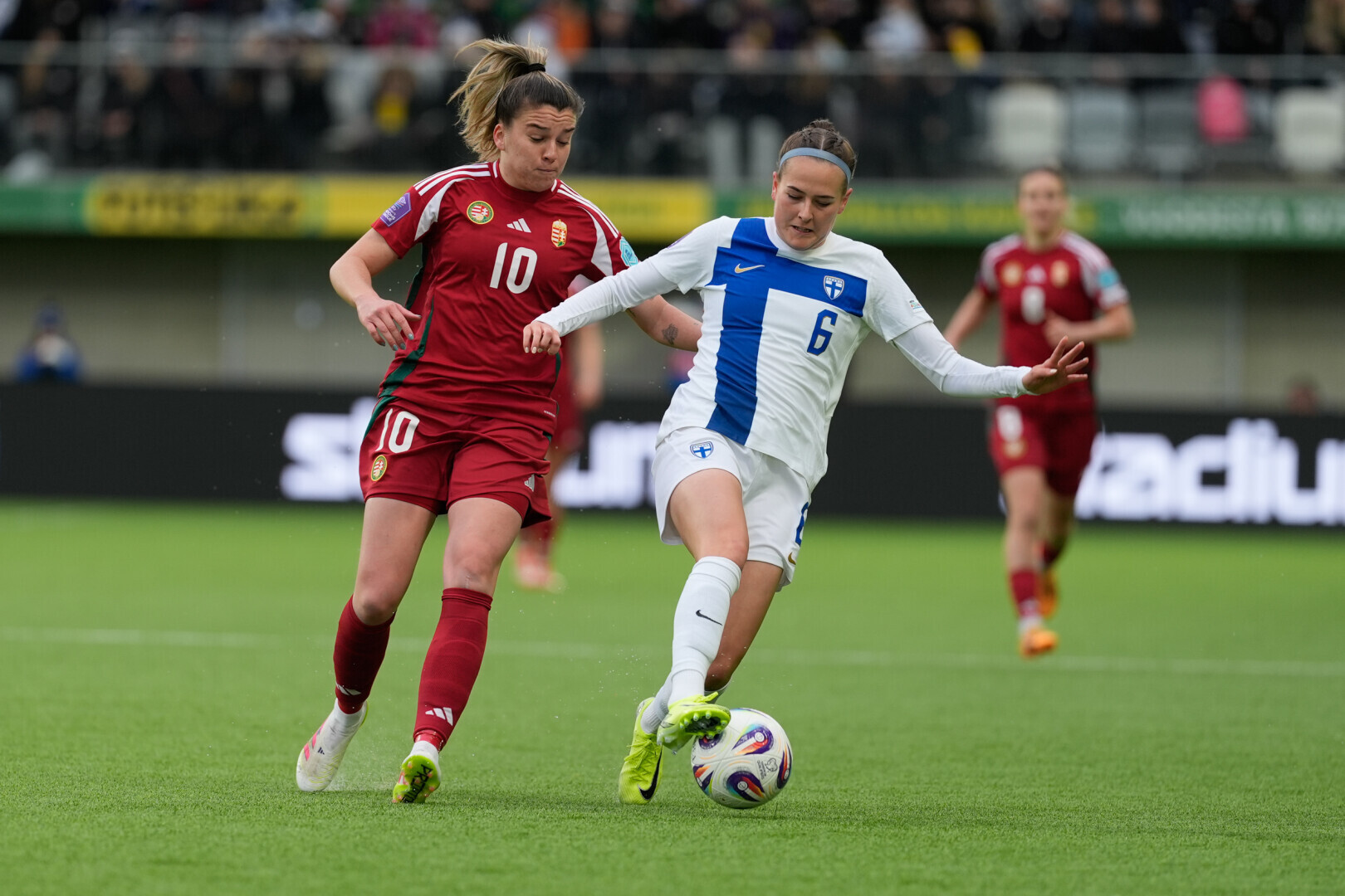 Nem termett babér Finnországban